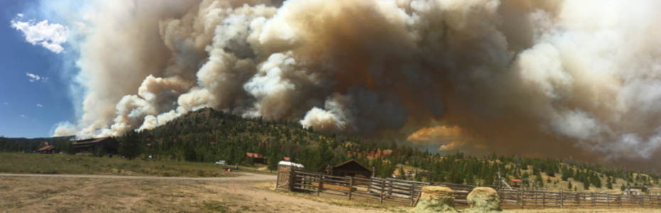 photo of distant daytime wildfire